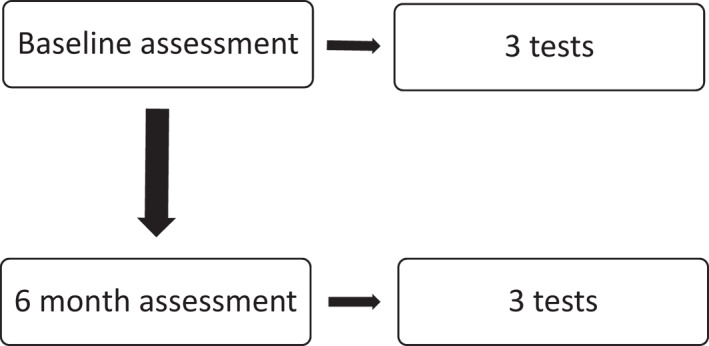 FIGURE 1