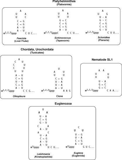 FIG. 7.