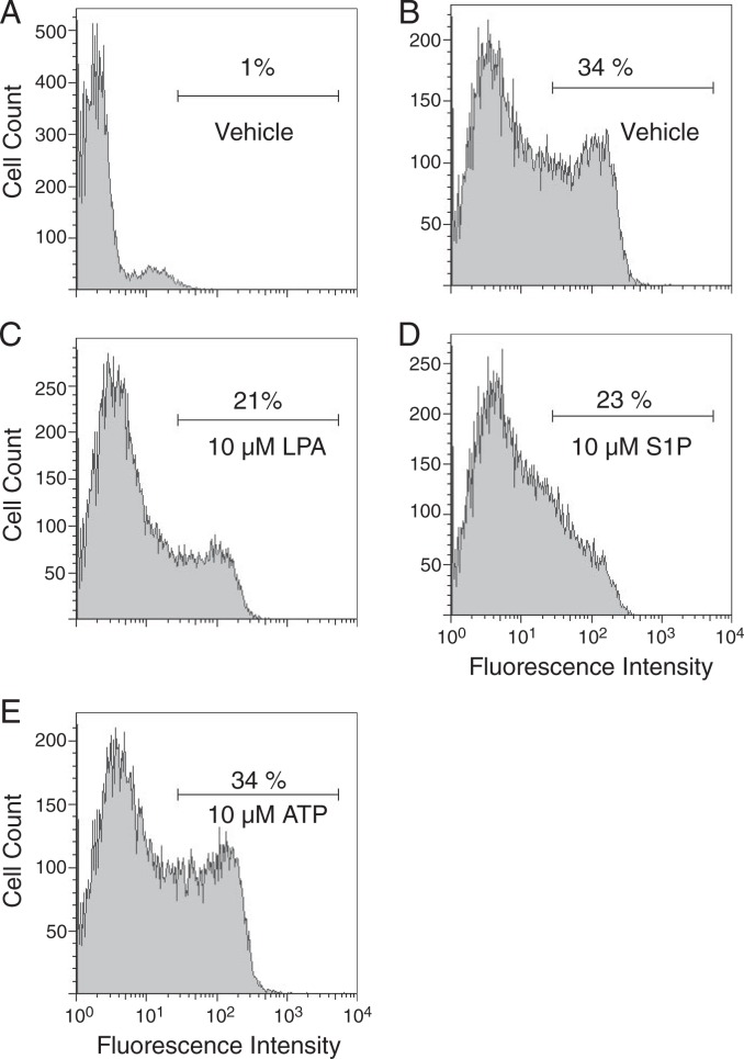 FIGURE 7.