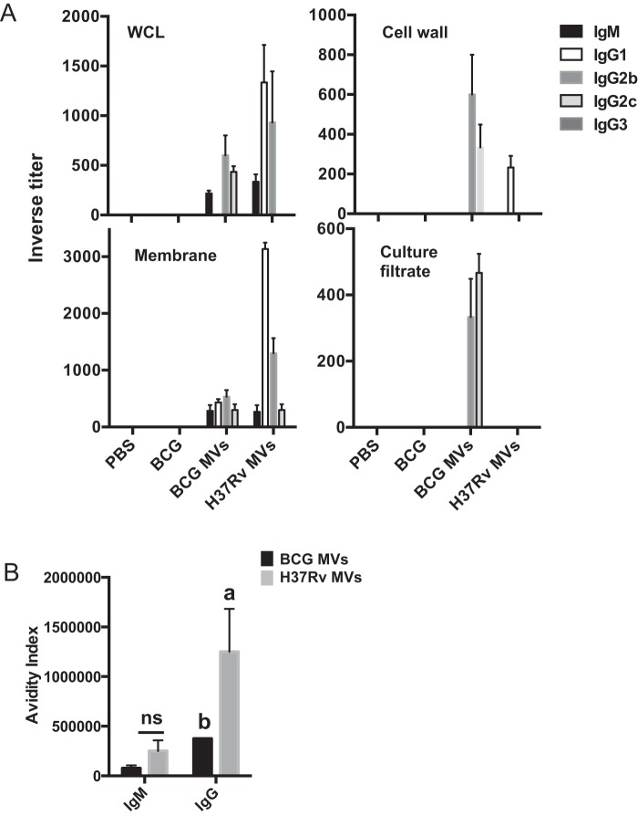 FIG 1 