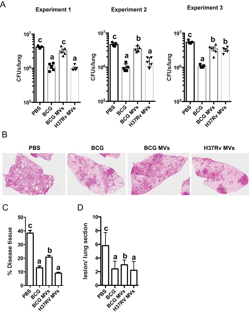 FIG 4 