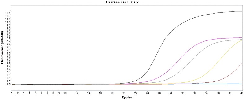 Fig. 4