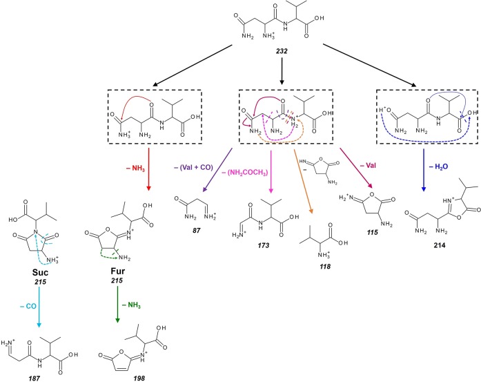 Scheme 2