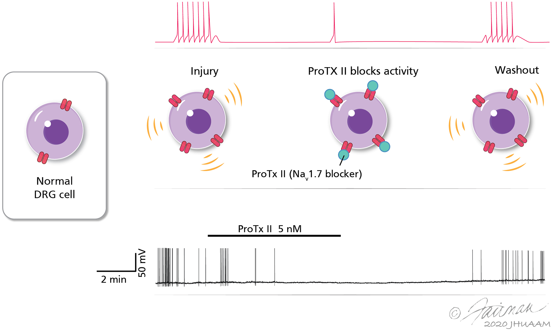 Figure 3.