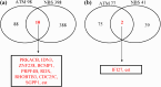 Fig. 4a,b