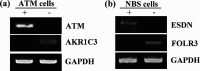 Fig. 2a,b