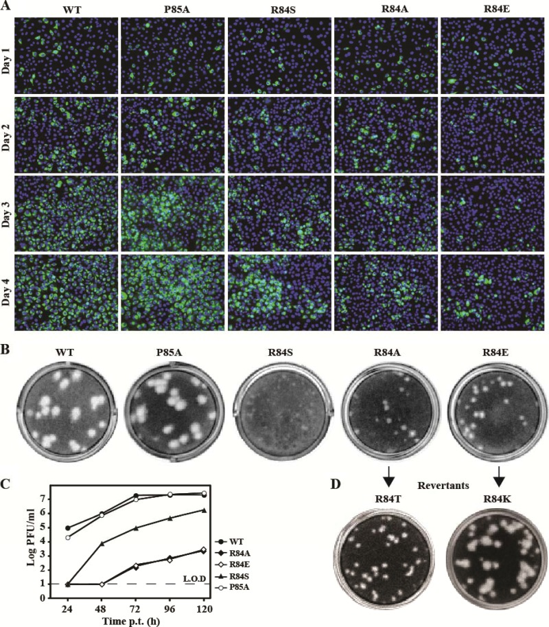 Fig 8