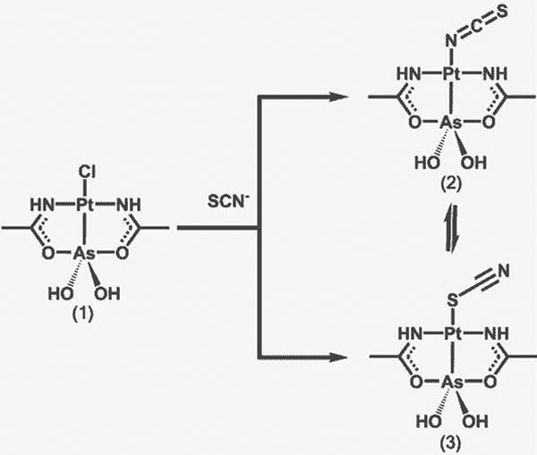 Scheme 1