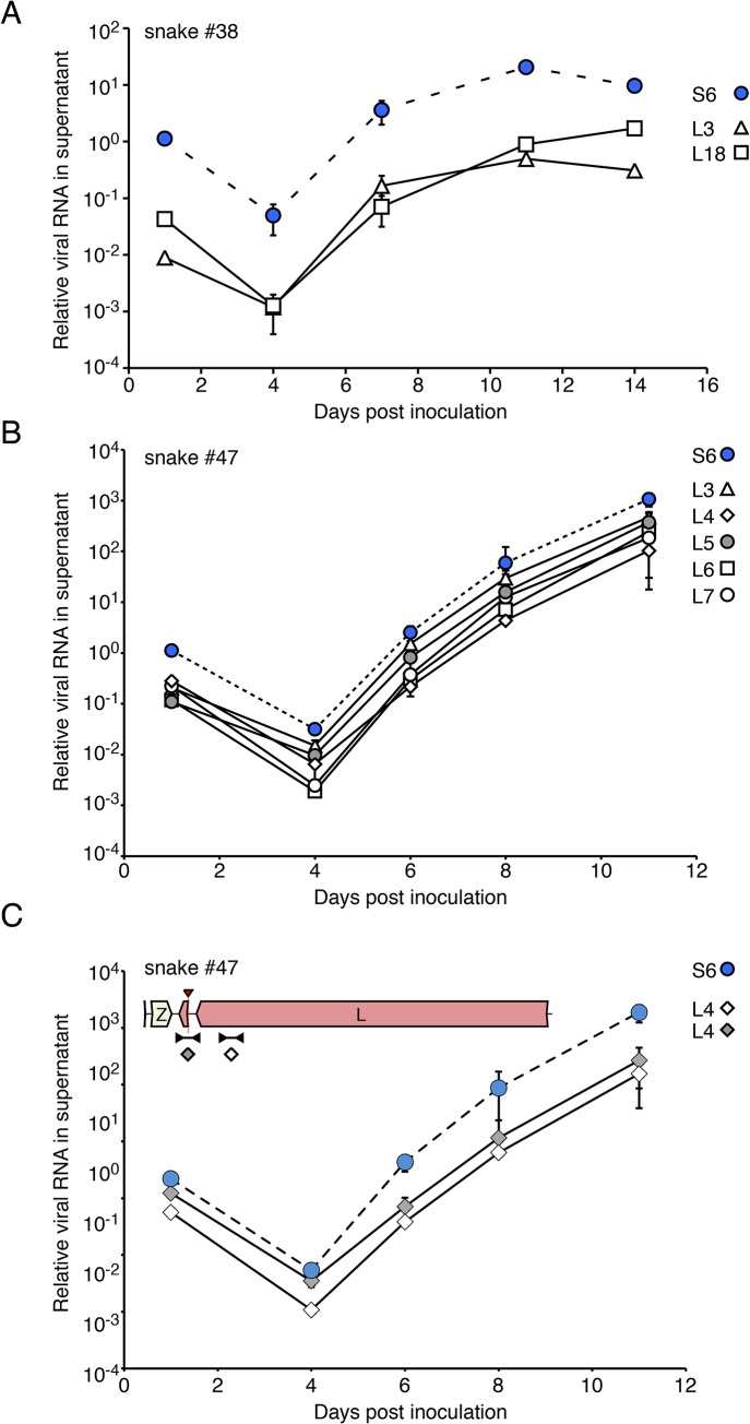 Fig 8