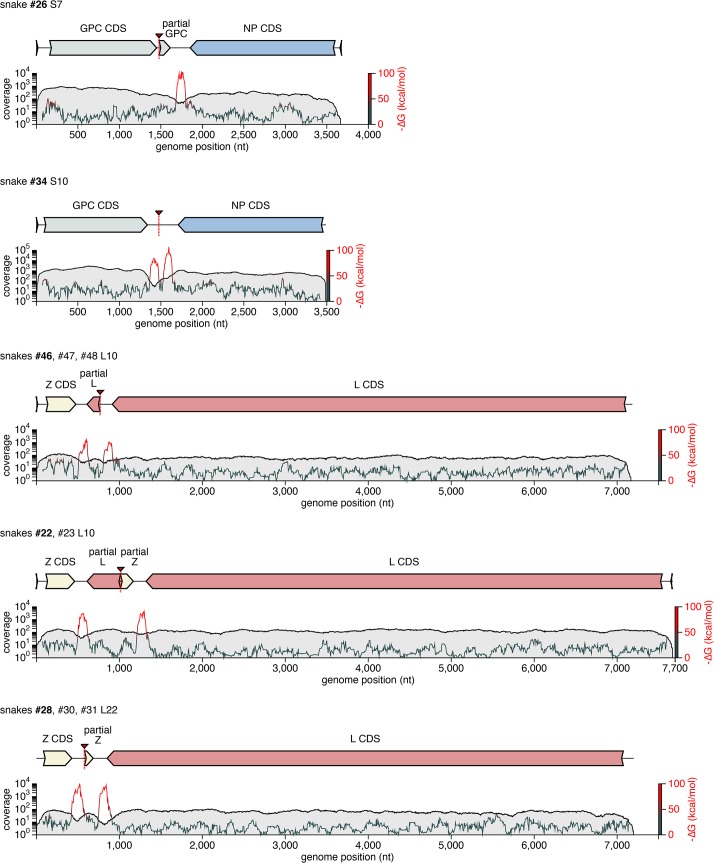 Fig 6