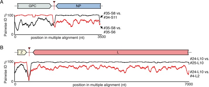 Fig 5