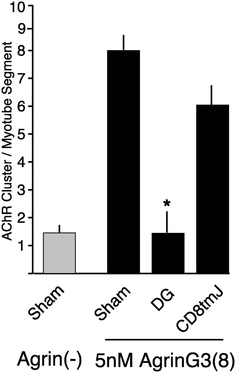 Fig. 10.