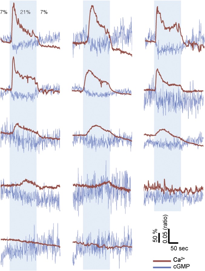 Fig. 3.