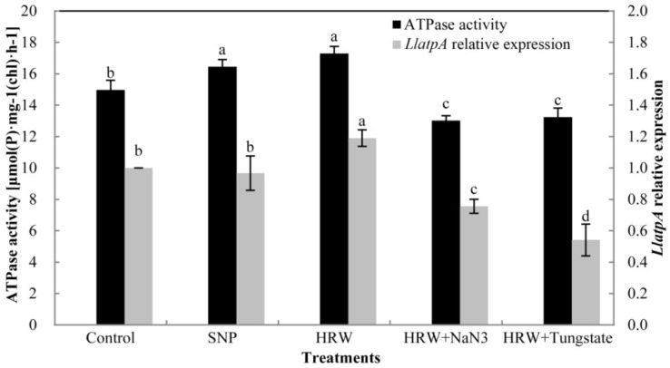 Figure 5