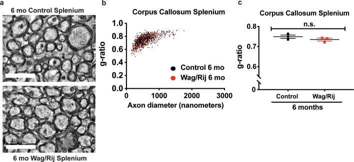 Extended Data Fig. 5