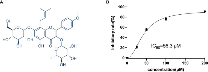 Figure 1