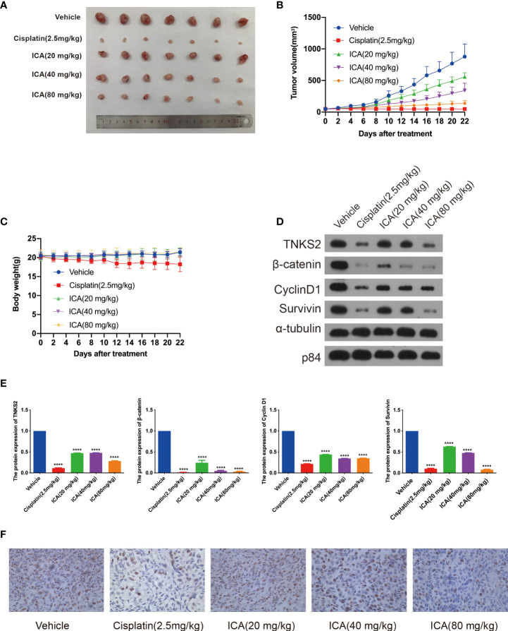 Figure 6