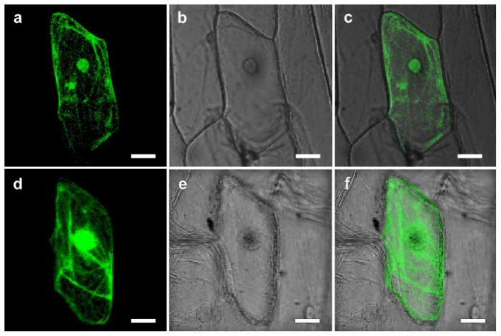 Figure 2.