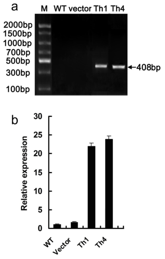 Figure 5.