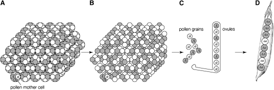 Figure 1.—