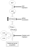 Fig. 9.