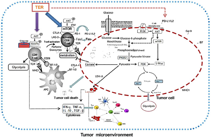 Graphical Abstract