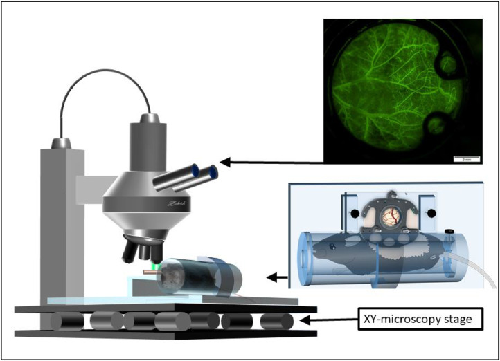 Fig 3