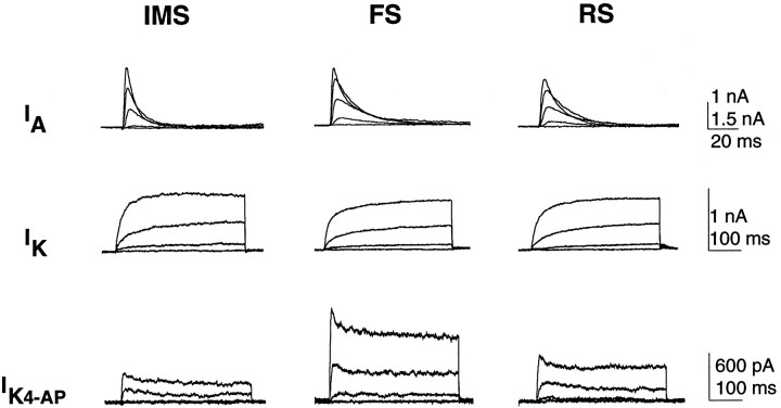 Fig. 5.