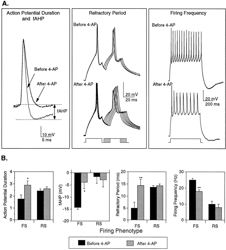 Fig. 8.