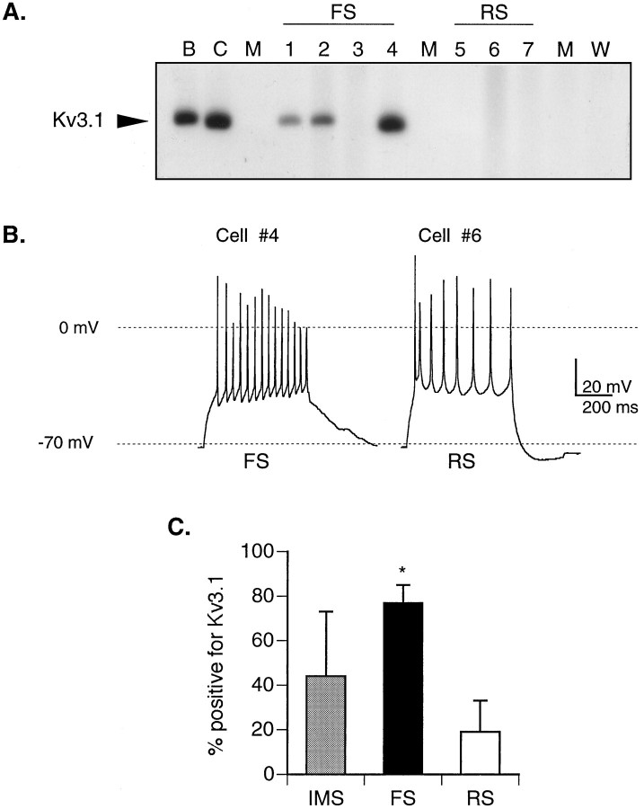 Fig. 9.