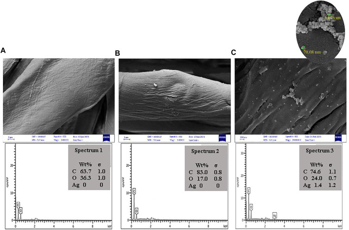 FIGURE 6