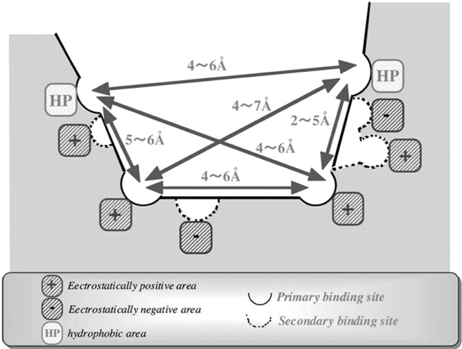 Fig. 4