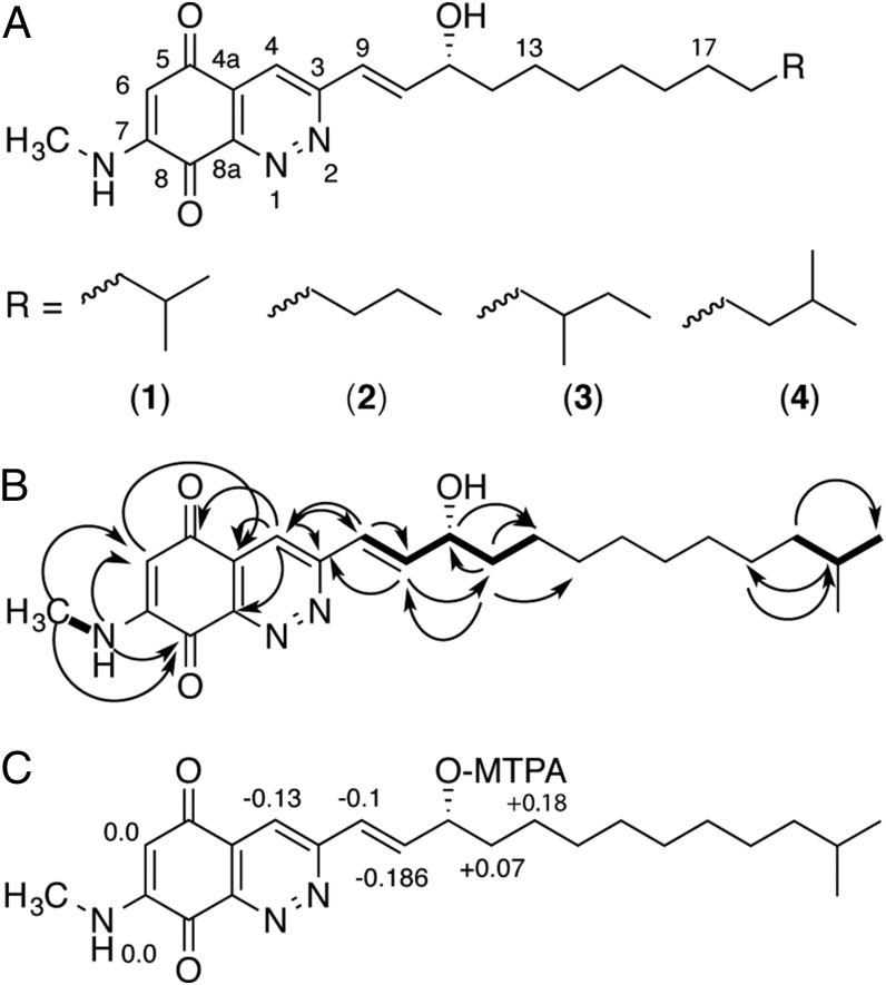 Fig. 5.