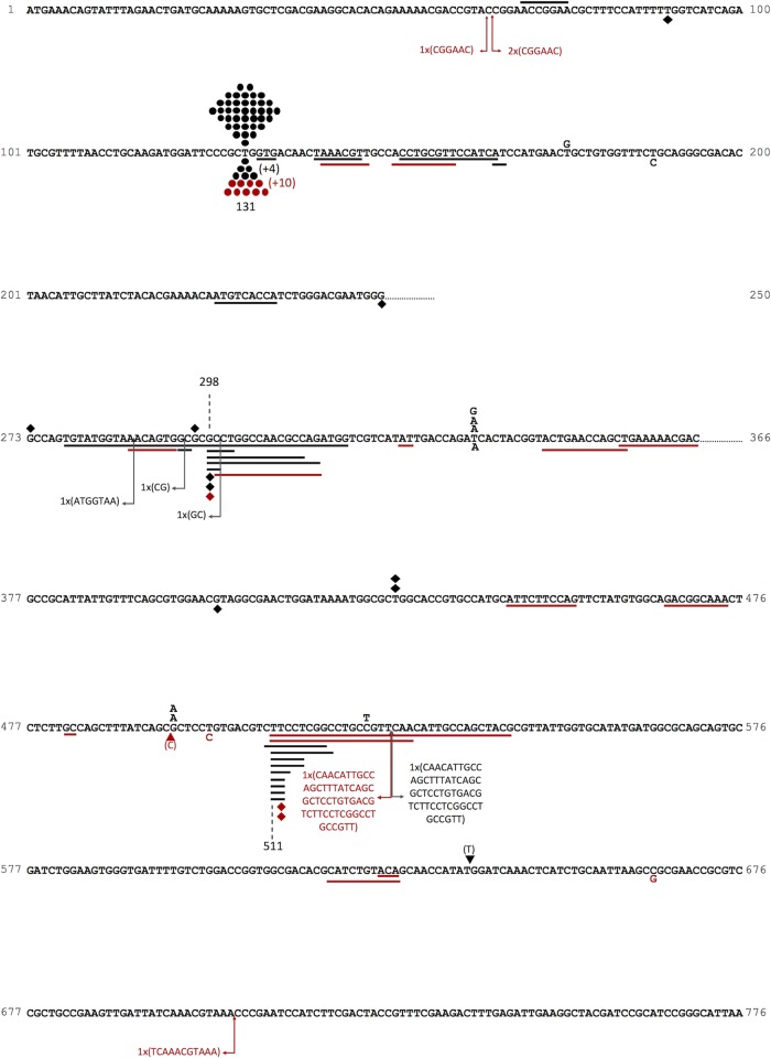 FIG 2