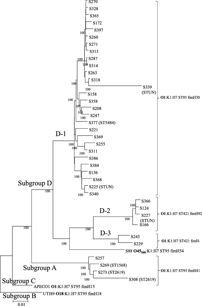 Fig. 2