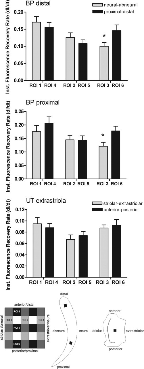 Figure 9.