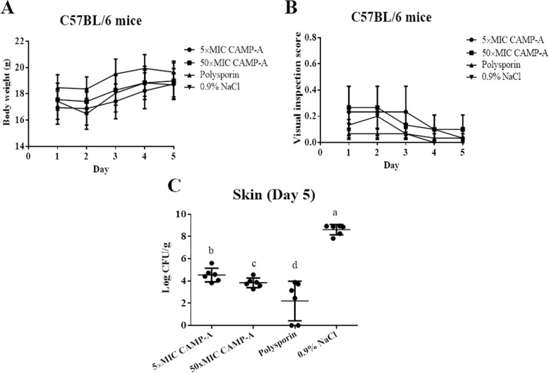 Fig. 6