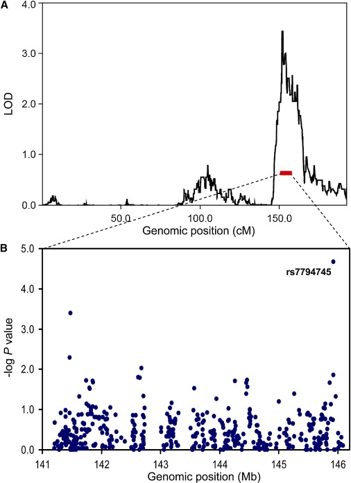 Figure 1