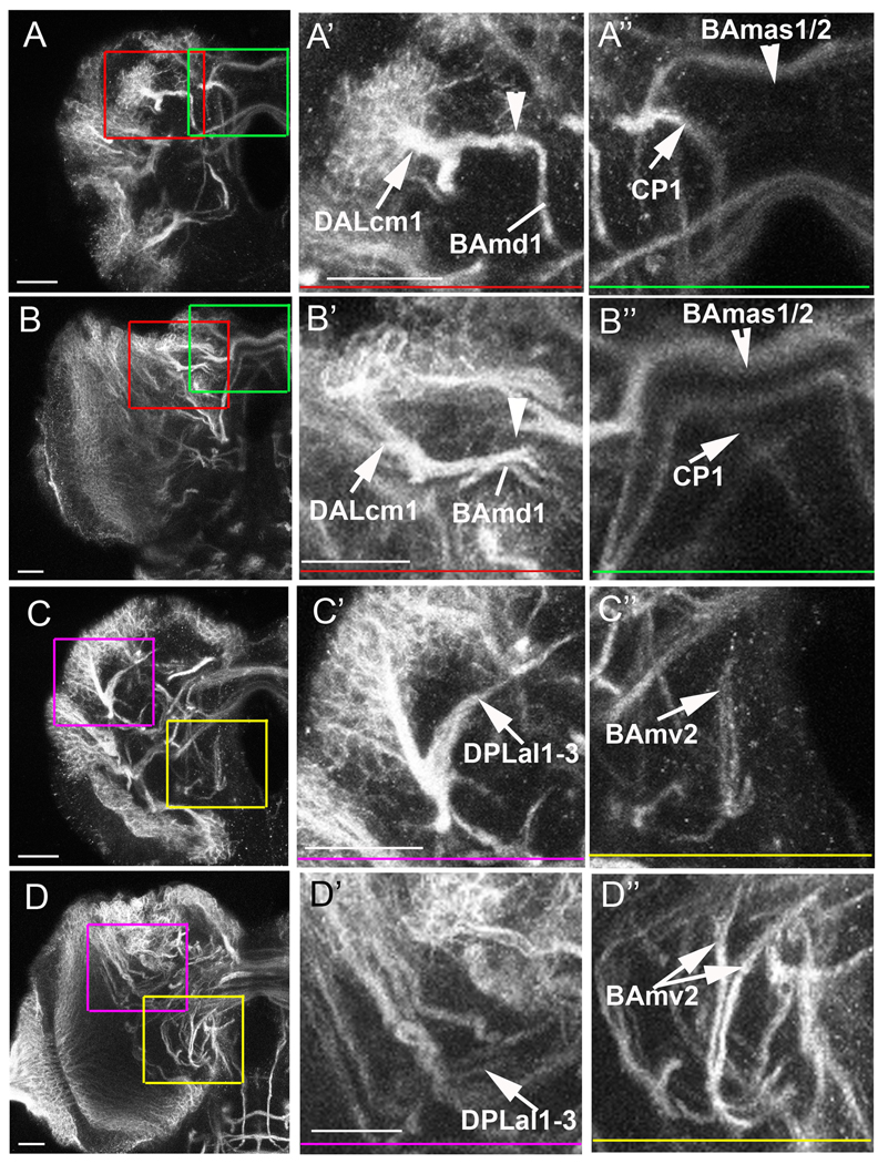 Figure 6