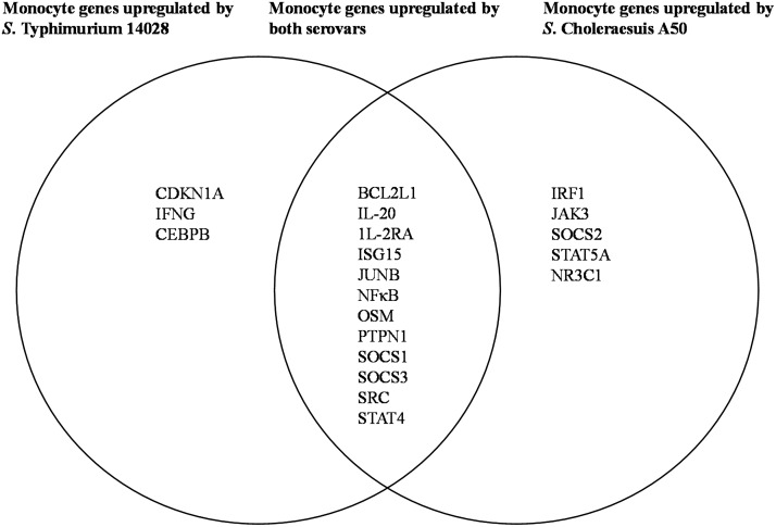 FIG 5