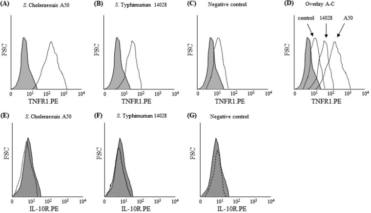 FIG 3