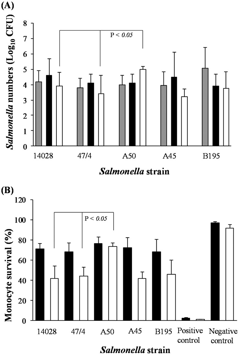 FIG 1