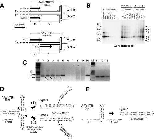 FIG. 6.