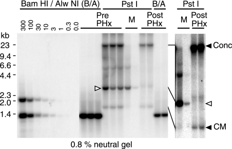 FIG. 8.