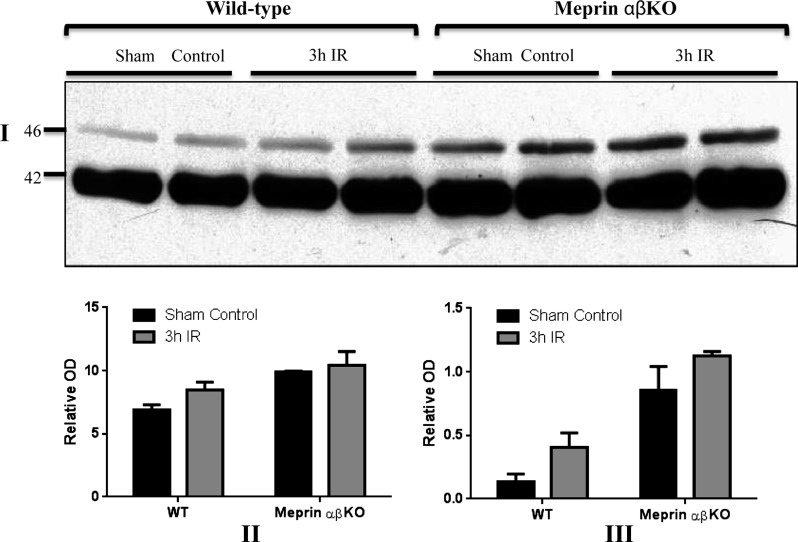 Fig. 10.