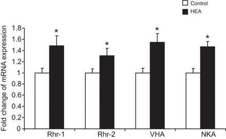 Fig. 9.