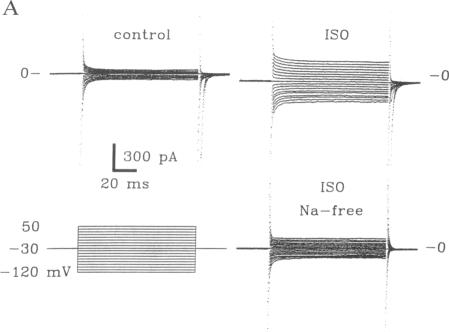 graphic file with name pnas01066-0057-a.jpg