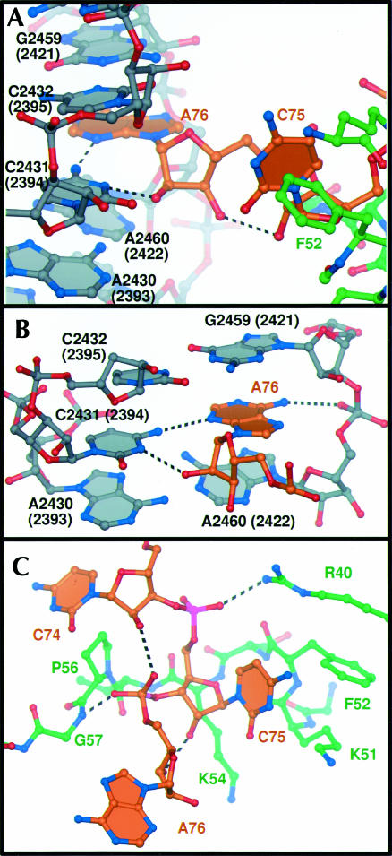 FIGURE 4.