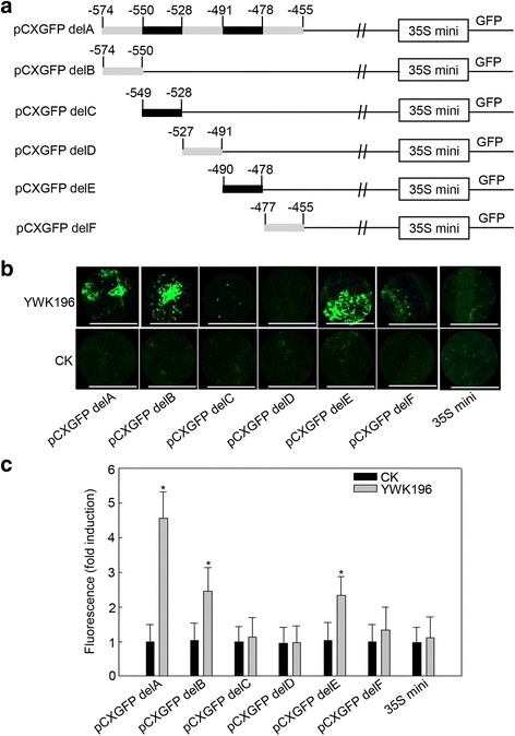 Fig. 4