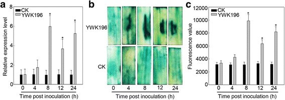 Fig. 2